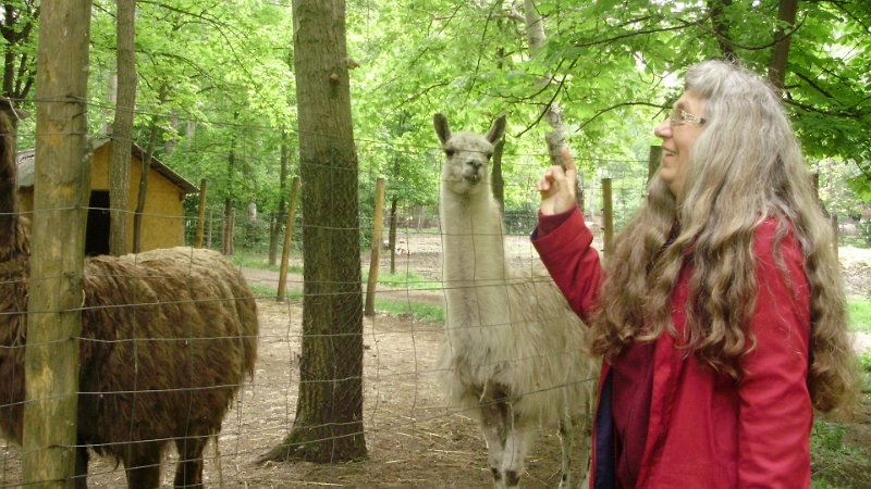 2011 05 02 Vadaspark 062.jpg